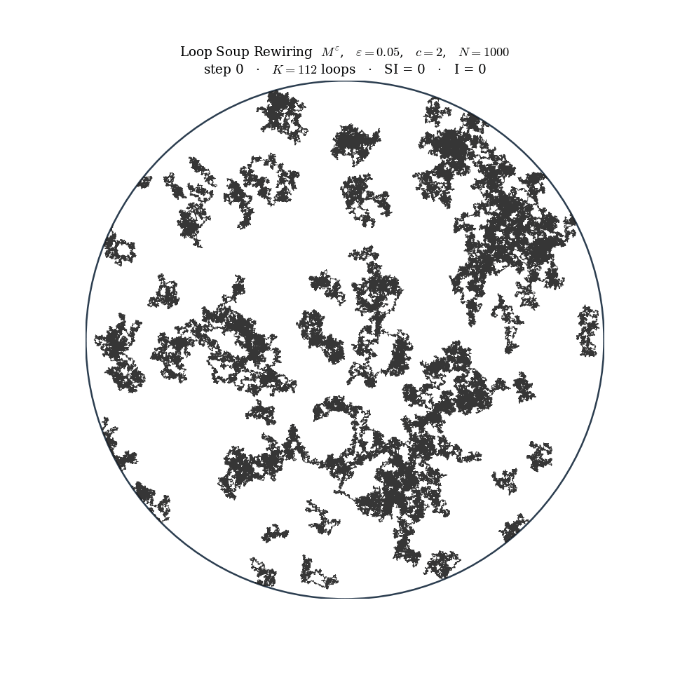 Loop-soup/Disk/loopsoup-rewiring.gif