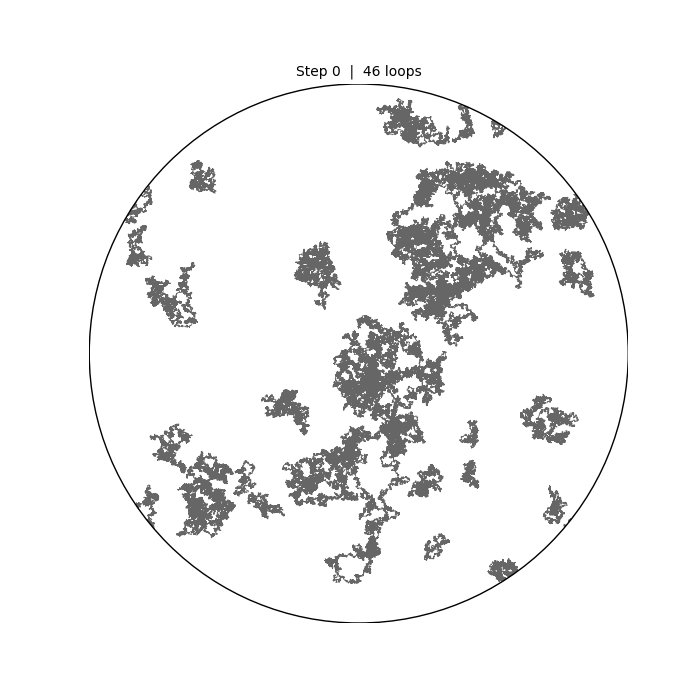 loopsoup-rewiring copy.gif
